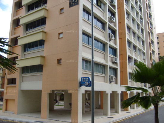 Blk 123 Mcnair Spring (Kallang/Whampoa), HDB 4 Rooms #407002